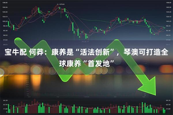 宝牛配 何莽：康养是“活法创新”，琴澳可打造全球康养“首发地”