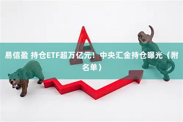 易信盈 持仓ETF超万亿元！中央汇金持仓曝光（附名单）