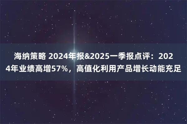 海纳策略 2024年报&2025一季报点评：2024年业绩高增57%，高值化利用产品增长动能充足