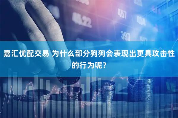 嘉汇优配交易 为什么部分狗狗会表现出更具攻击性的行为呢？