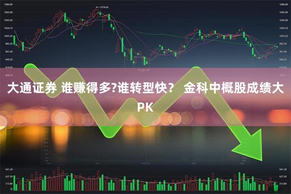 大通证券 谁赚得多?谁转型快？ 金科中概股成绩大PK