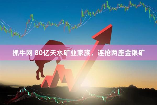 抓牛网 80亿天水矿业家族，连抢两座金银矿