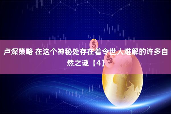 卢深策略 在这个神秘处存在着令世人难解的许多自然之谜【4】